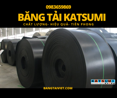 BĂNG TẢI KATSUMI DIN